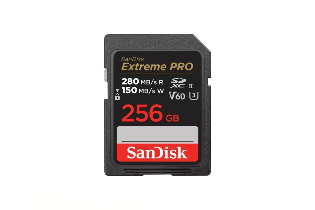 SanDisk card